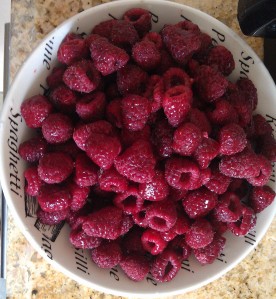 About 1.5 lbs of Raspberries washed and thawed